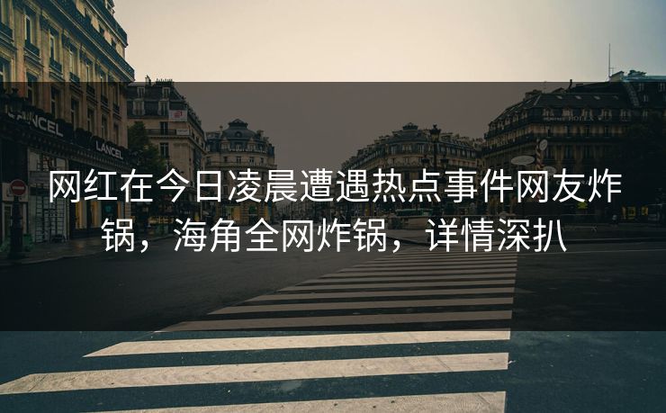 网红在今日凌晨遭遇热点事件网友炸锅，海角全网炸锅，详情深扒